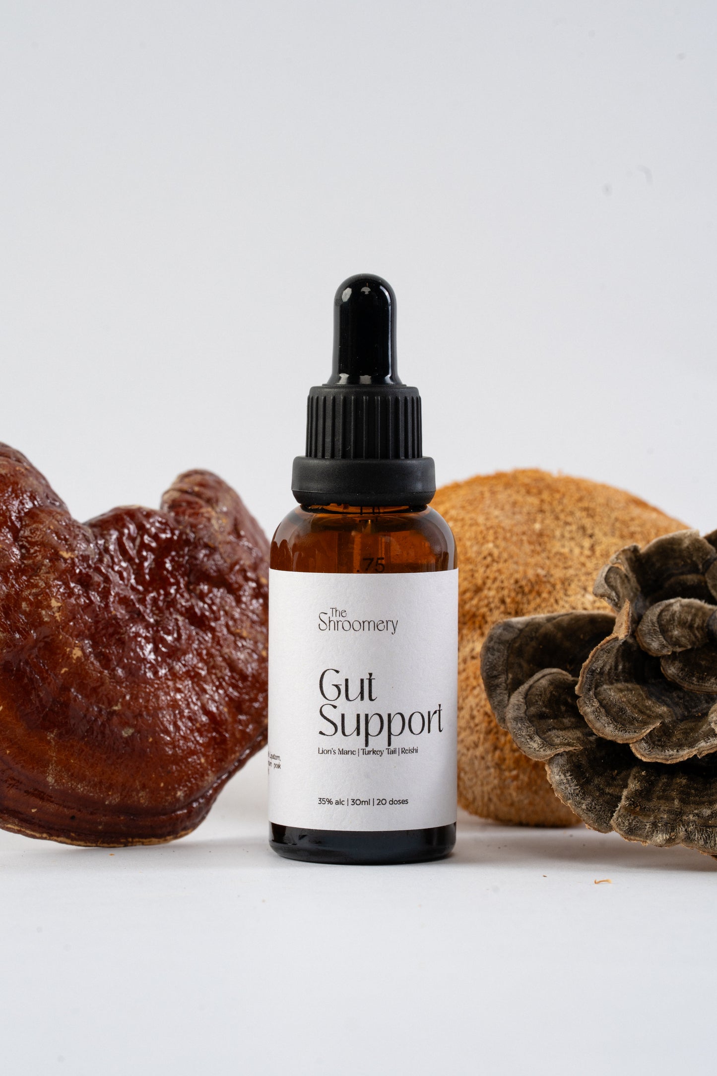 Gut Support Blend – Reishi, Turkey Tail, Lion’s Mane | 30ml