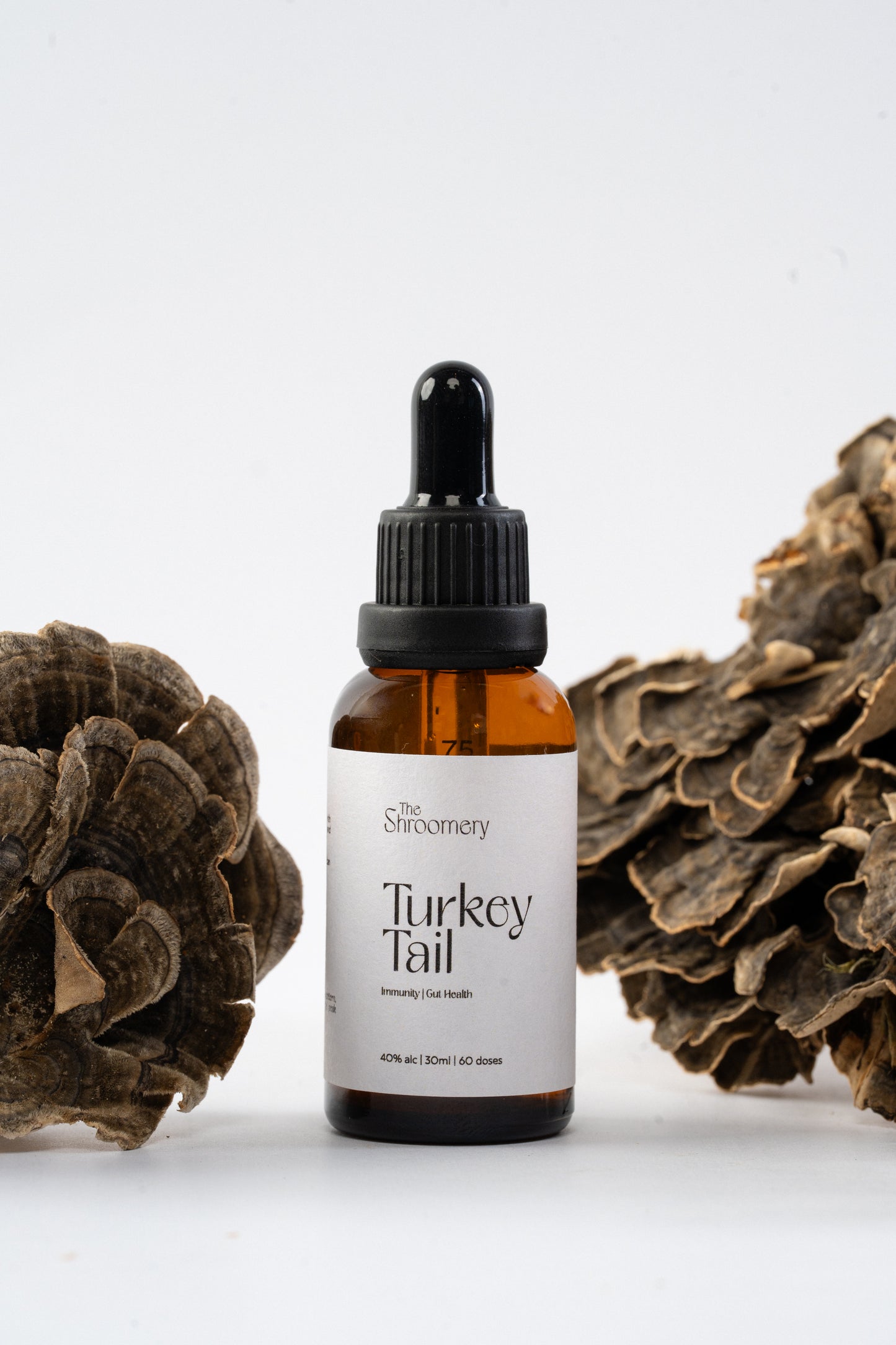 Turkey Tail Mushroom Tincture – Gut & Immune Wellness | 30ml
