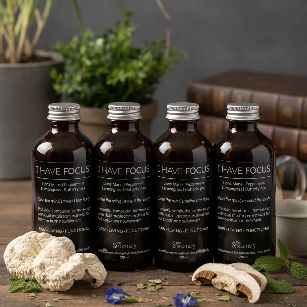 4 bottles bundle | kombucha | I have focus
