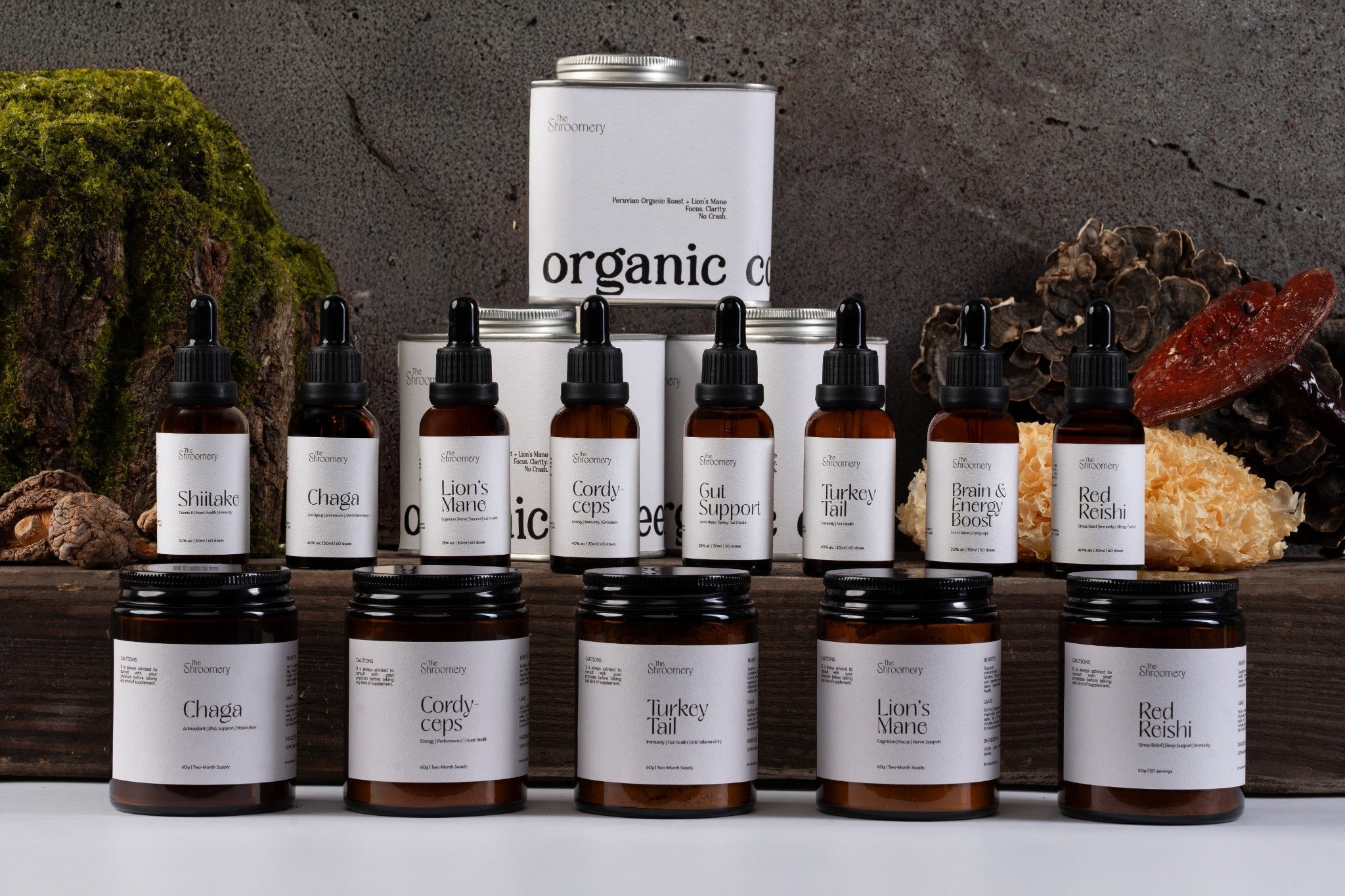 The Shroomery | Lebanon
– the shroomery