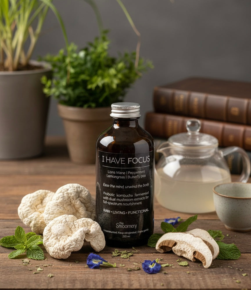 HAVE FOCUS | Mushroom-Boosted KombuchaI | Lion’s Mane + Botanical