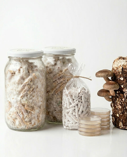 Shiitake dowels (100)