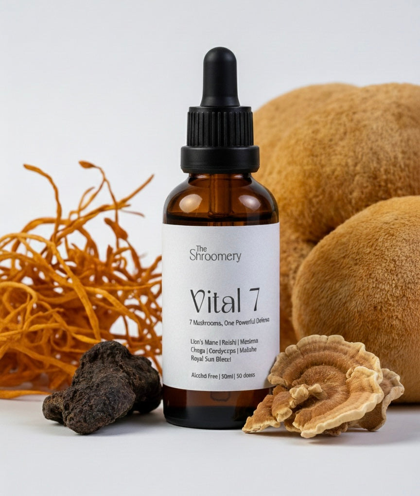 Vital 7 | 7-Mushroom Alcohol-Free Tincture for Daily Immunity, Energy & Focus | 50ml