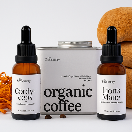 Cognitive Fuel Trio