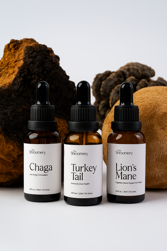 Daily Wellness Essentials
