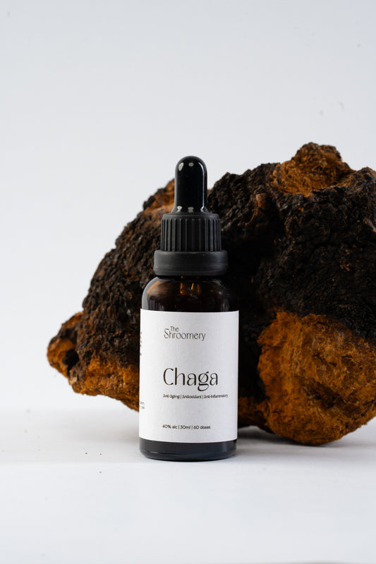 Chaga Mushroom Tincture – Antioxidant-Rich Formula | 30ml
