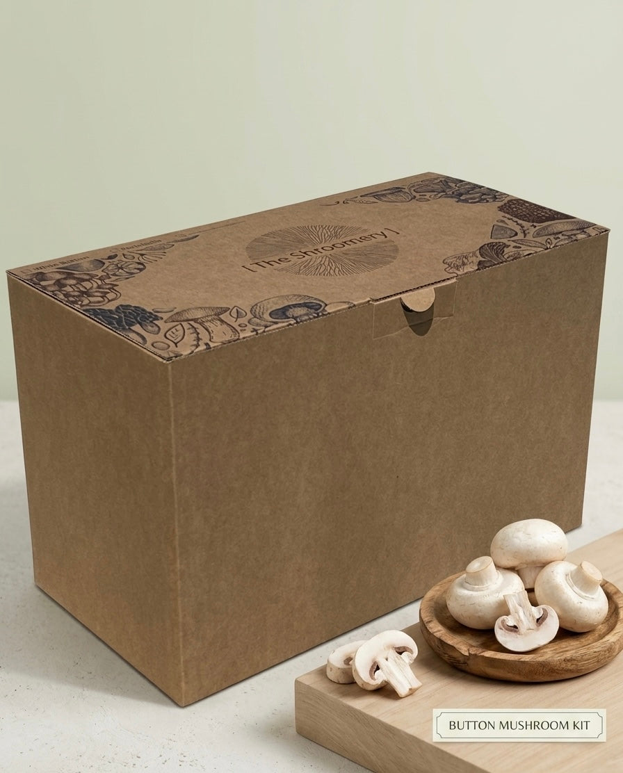 White button mushroom