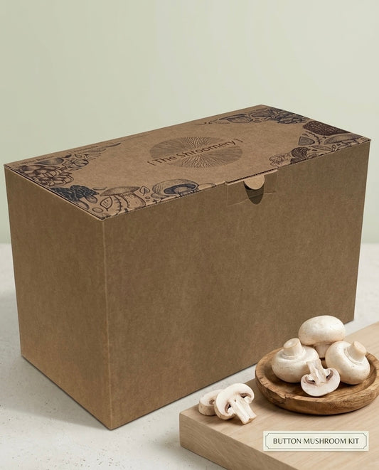 White button mushroom