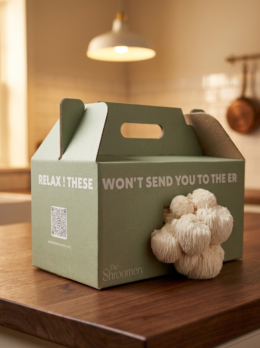 Lion’s Mane Mushroom Grow Kit | Easy Home Cultivation