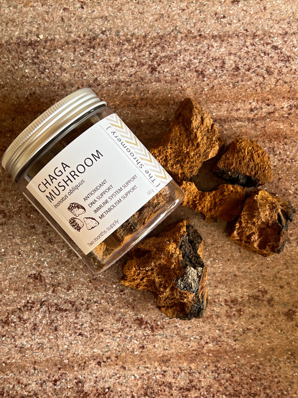 Chaga medicinal mushroom powder