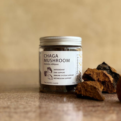 Chaga medicinal mushroom powder