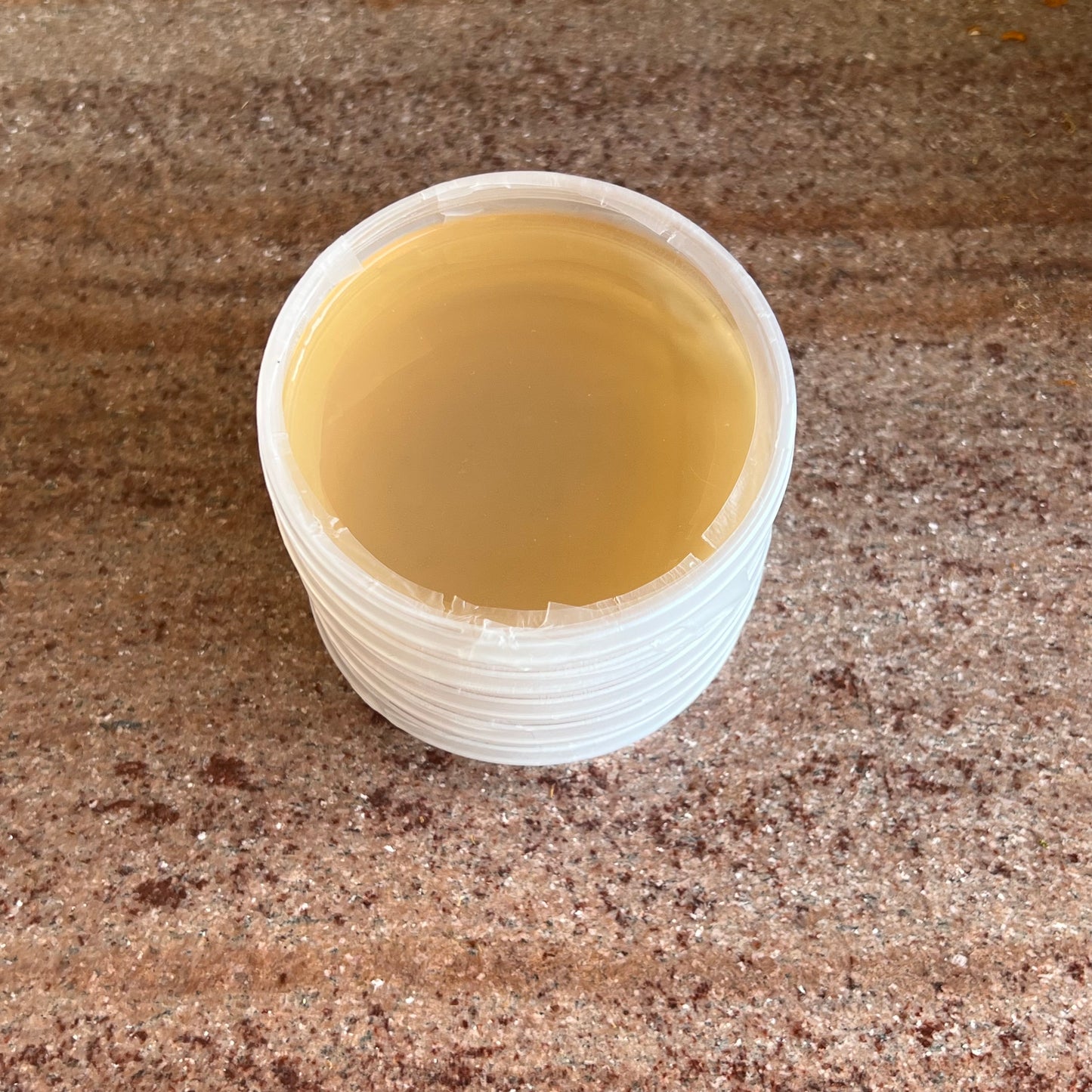 Malt Extract Agar Plates