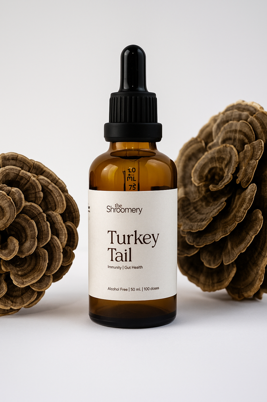 Chaga mushroom tincture bottle – The Shroomery