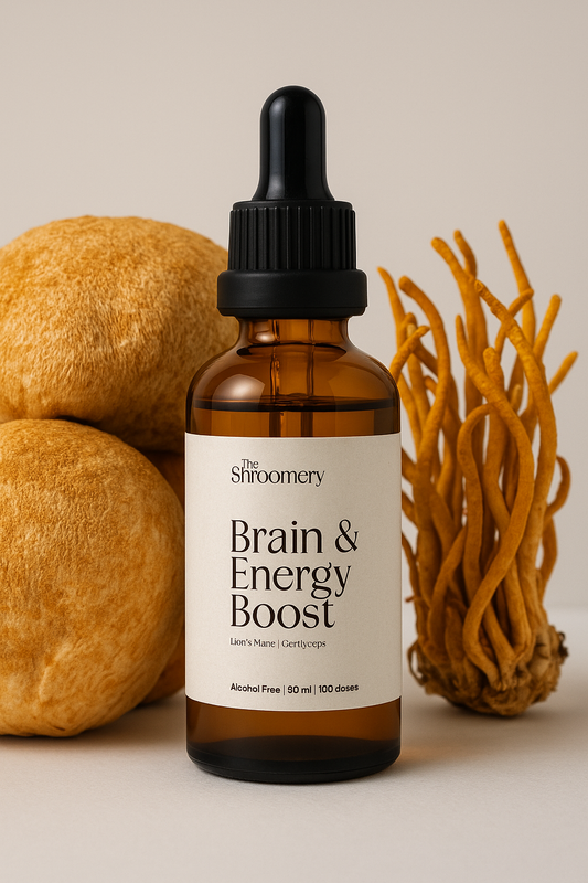 Brain & Energy Boost tincture bottle – The Shroomery