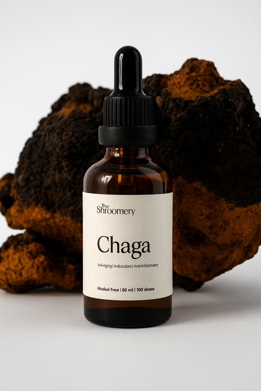 Red Reishi mushroom tincture bottle – The Shroomery