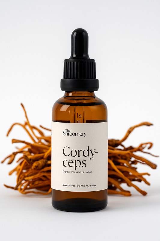 Turkey Tail mushroom tincture bottle – The Shroomery