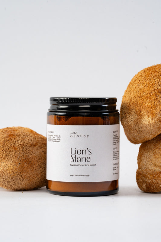 Lion's Mane Powder