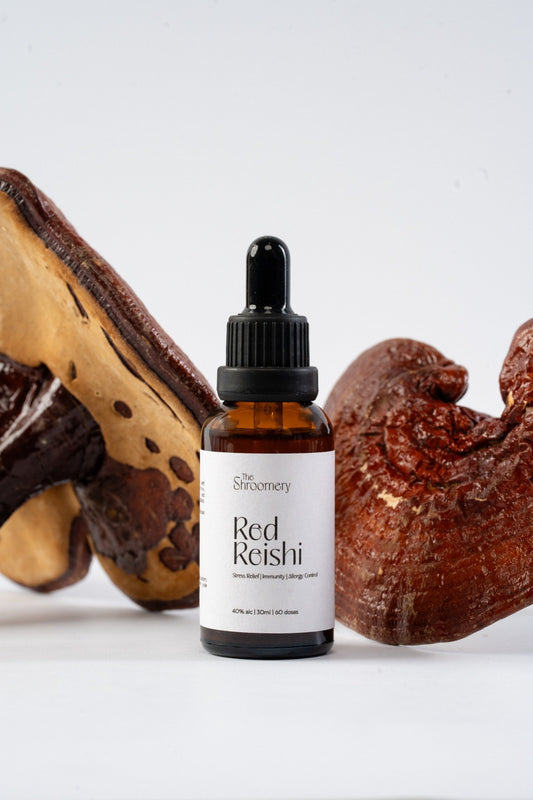 Reishi Mushroom Tincture – Relaxation & Immune Balance | 30ml