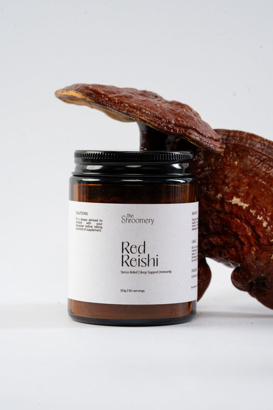 Red Reishi Powder