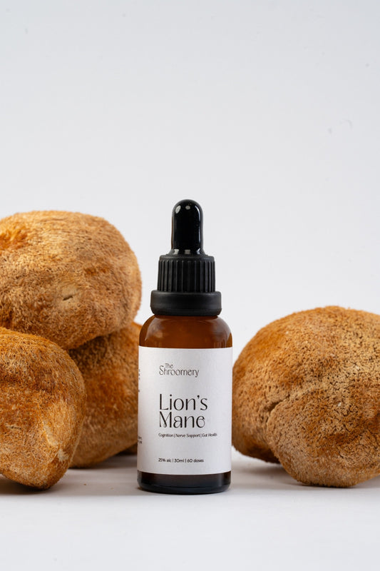 Lion’s Mane Mushroom Tincture | 30 ml